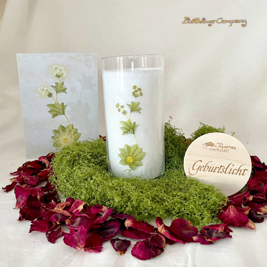 Geburtslicht, eine Kerze im Glas aus der Allgäuer Heilkräutermanufaktur. Glas mit Pflanzenaufdruck und graviertem Holzdeckel. Mit Glückwunschkarte