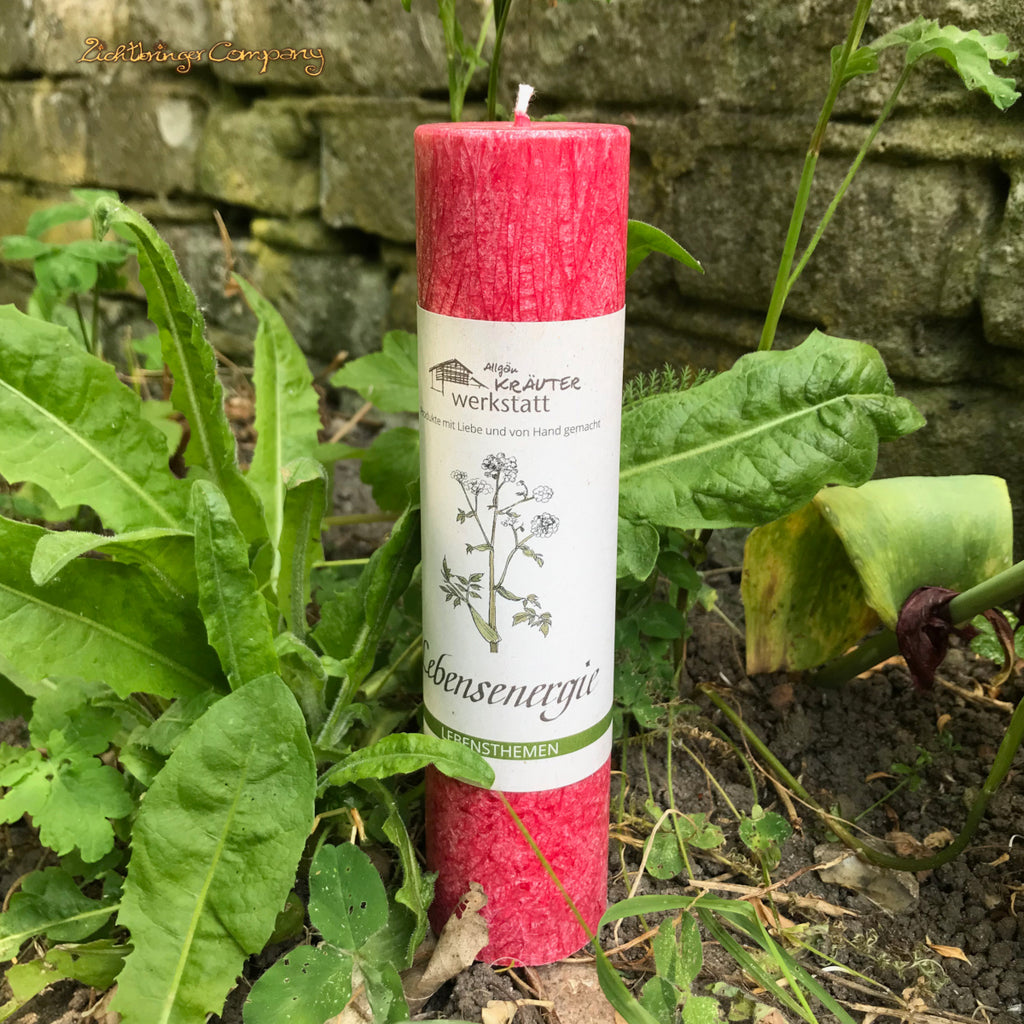 Allgäuer Heilkräuterkerze Lebensenergie, Farbe rot, zwischen Löwenzahnblättern
