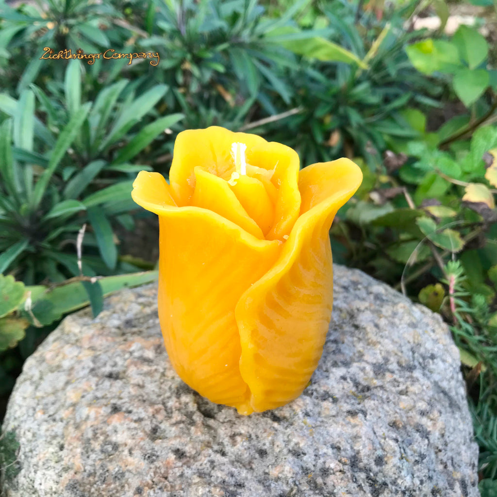 Rosenblüte, Kerze aus Bienenwachs