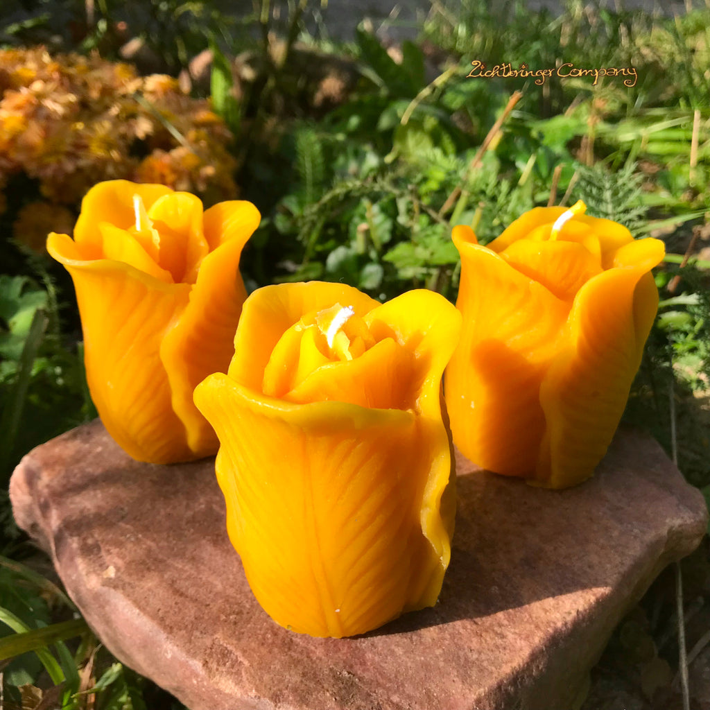 3 Rosenkerzen aus Bienenwachs, filigran geformt wie eine Rosenblüte