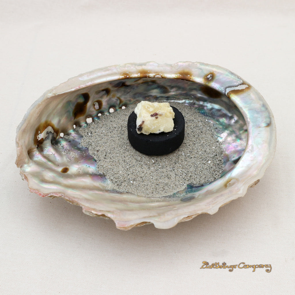 Large Abalone Paua Shell