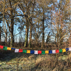 Tibetische Gebetsfahnen 4,20 m lang - aus Baumwolle