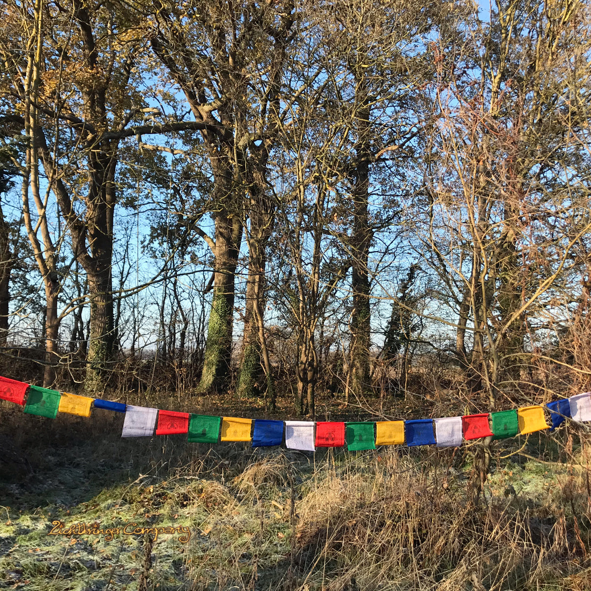 Tibetische Gebetsfahnen 4,20 m lang - aus Baumwolle